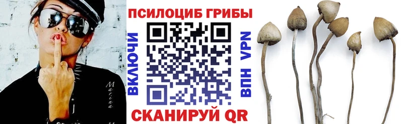 Галлюциногенные грибы мухоморы  Карабаш 